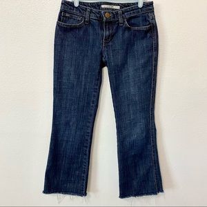 Joe’s Jeans The Provocateur Raw Hem Bootcut 26